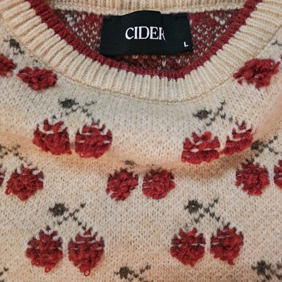 Cider Cream and Red Knit Crop Top - Picture 2 of 11